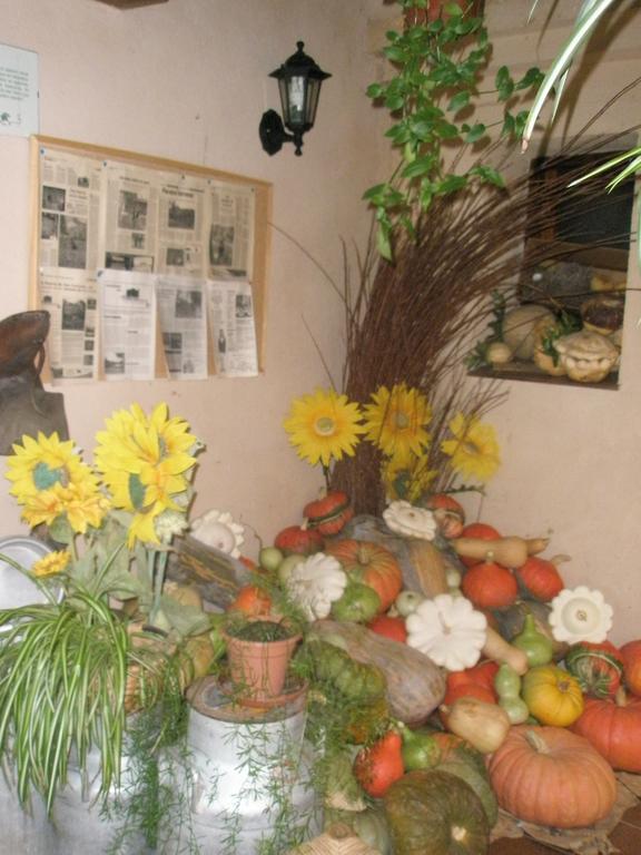 La Huerta De San Lorenzo Hotel Segovia Eksteriør billede